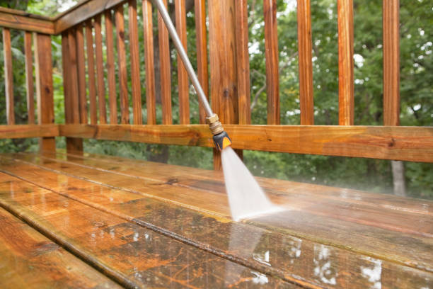 Best Solar Panel Cleaning  in Macclenny, FL
